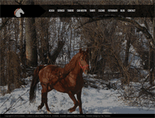 Tablet Screenshot of husarslanic.com